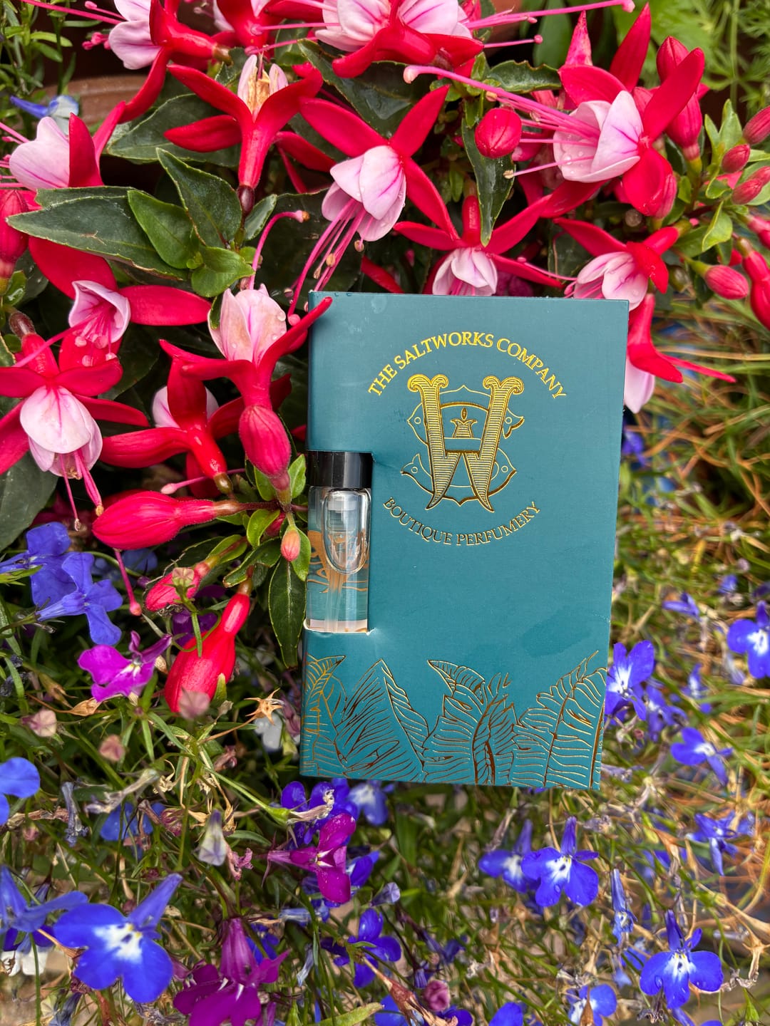 Customer photo review of Gold Coast