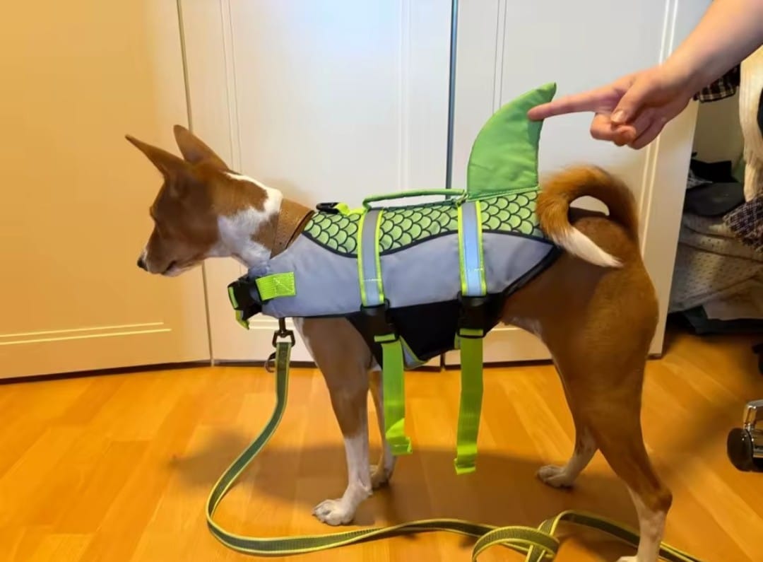 Customer photo review of Chaleco Sharkpets