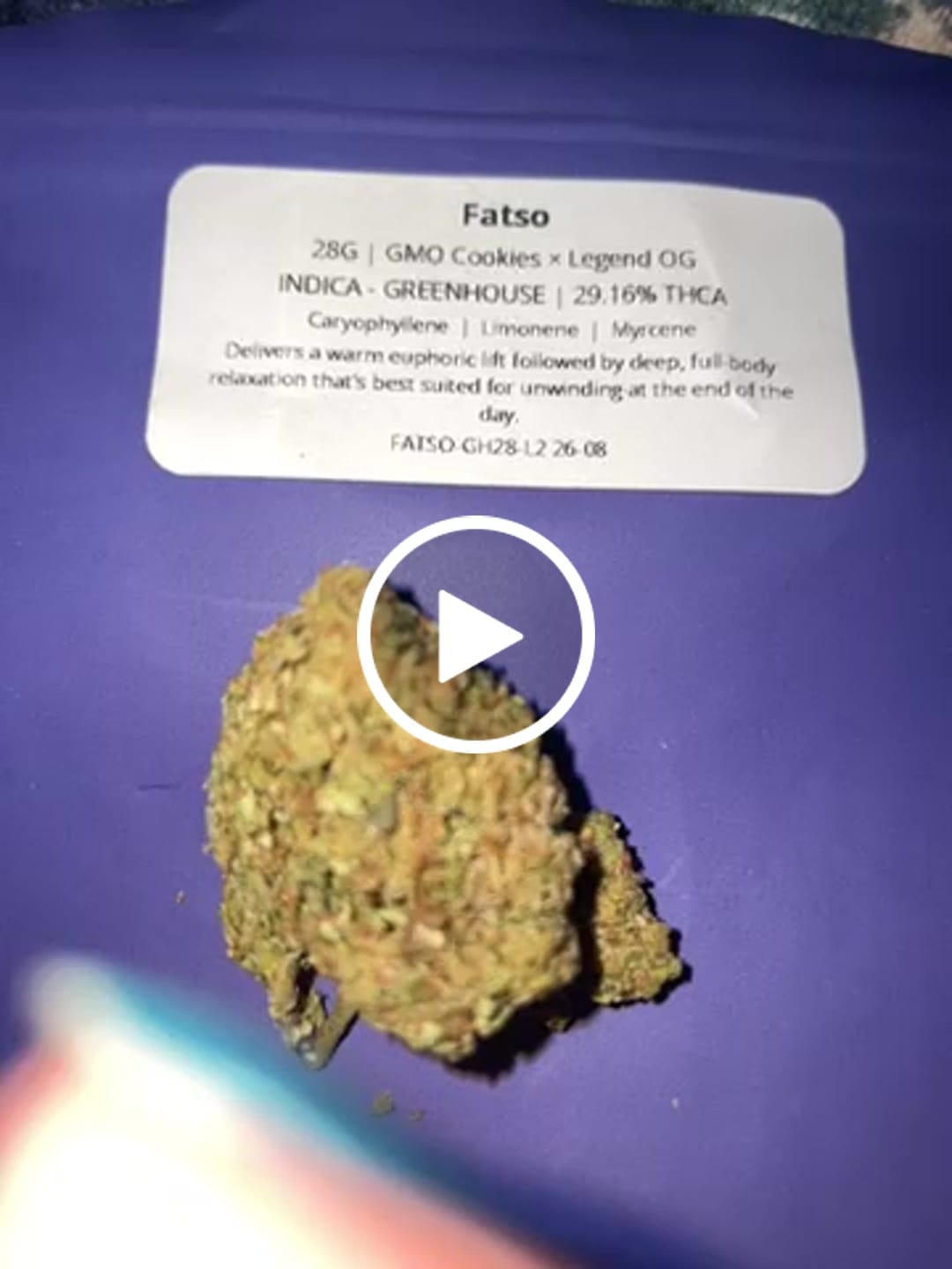 Customer video review of Fatso