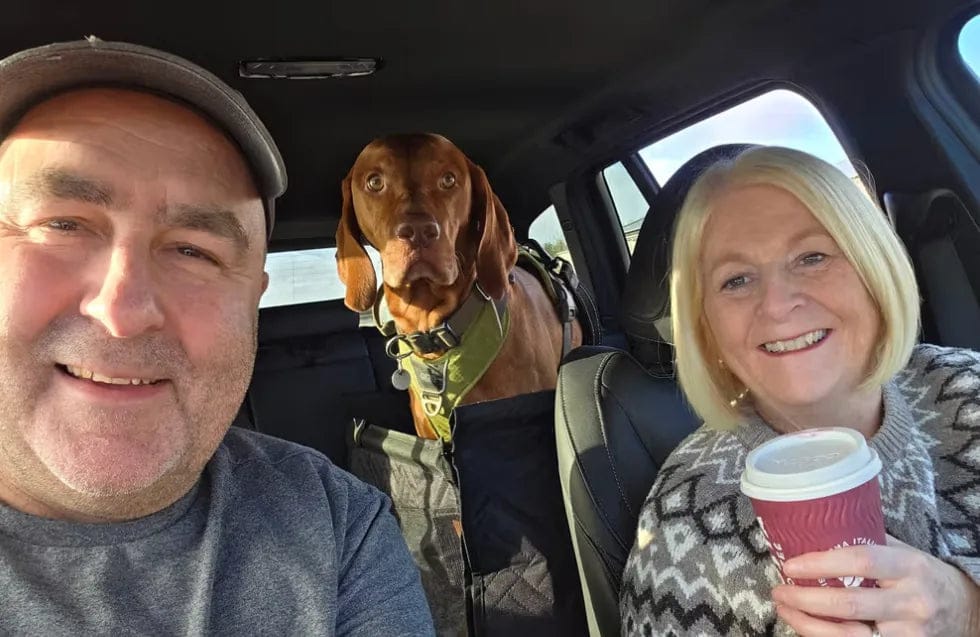 Customer photo review of Caisse de transport sécurisé voiture pour chien