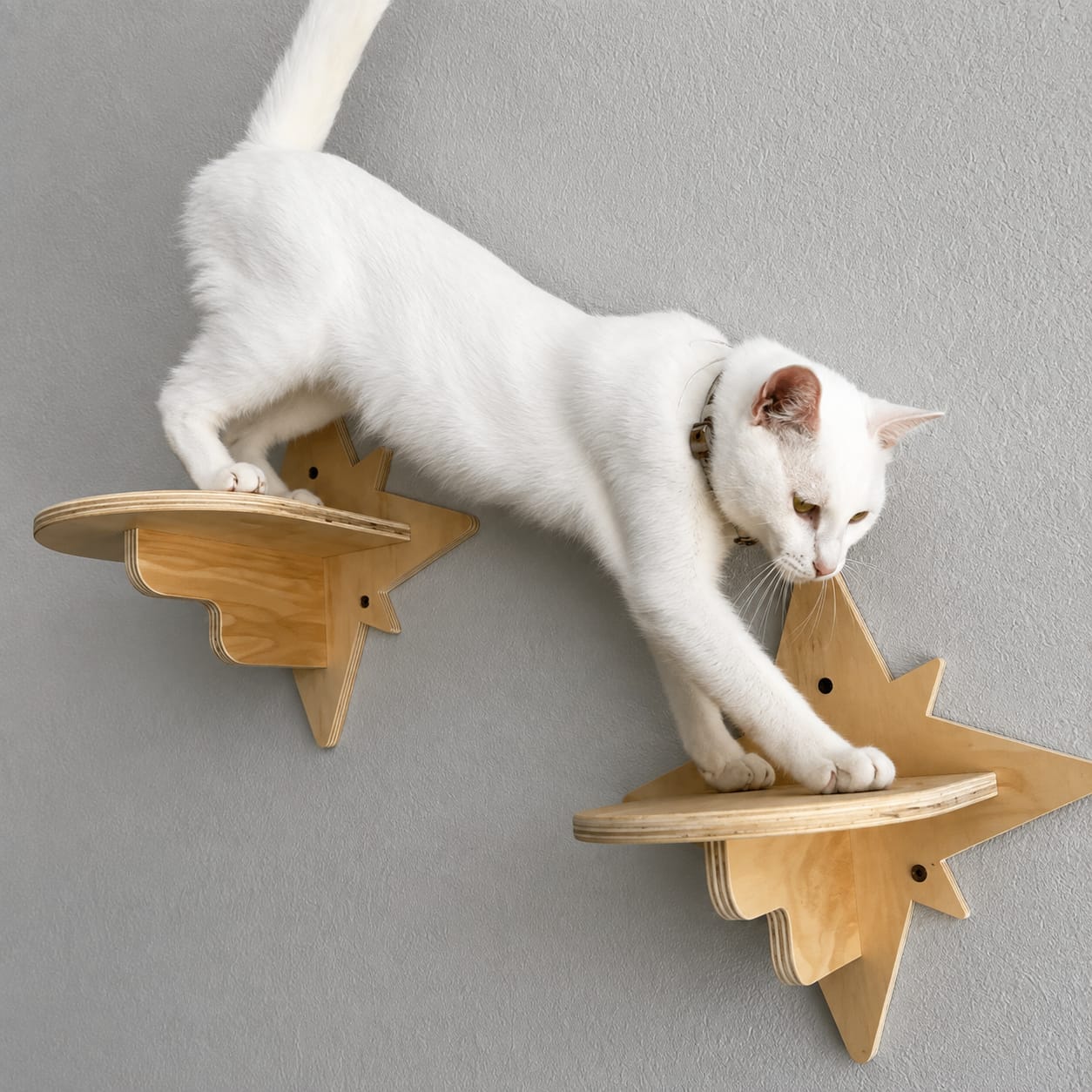 Customer photo review of Cama Colgante para Gatos