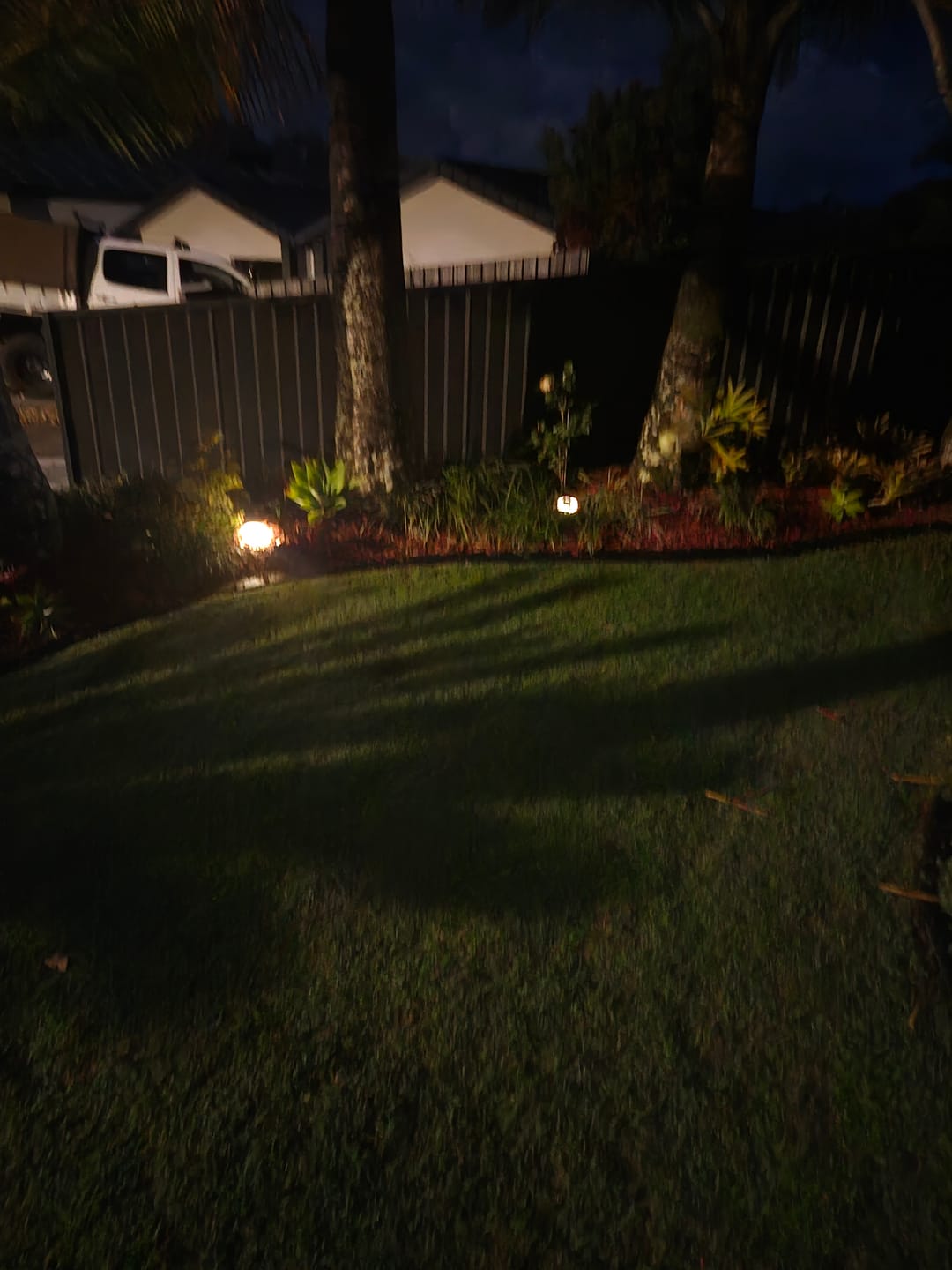 Customer photo review of GardenBrite™ Shipping Protection