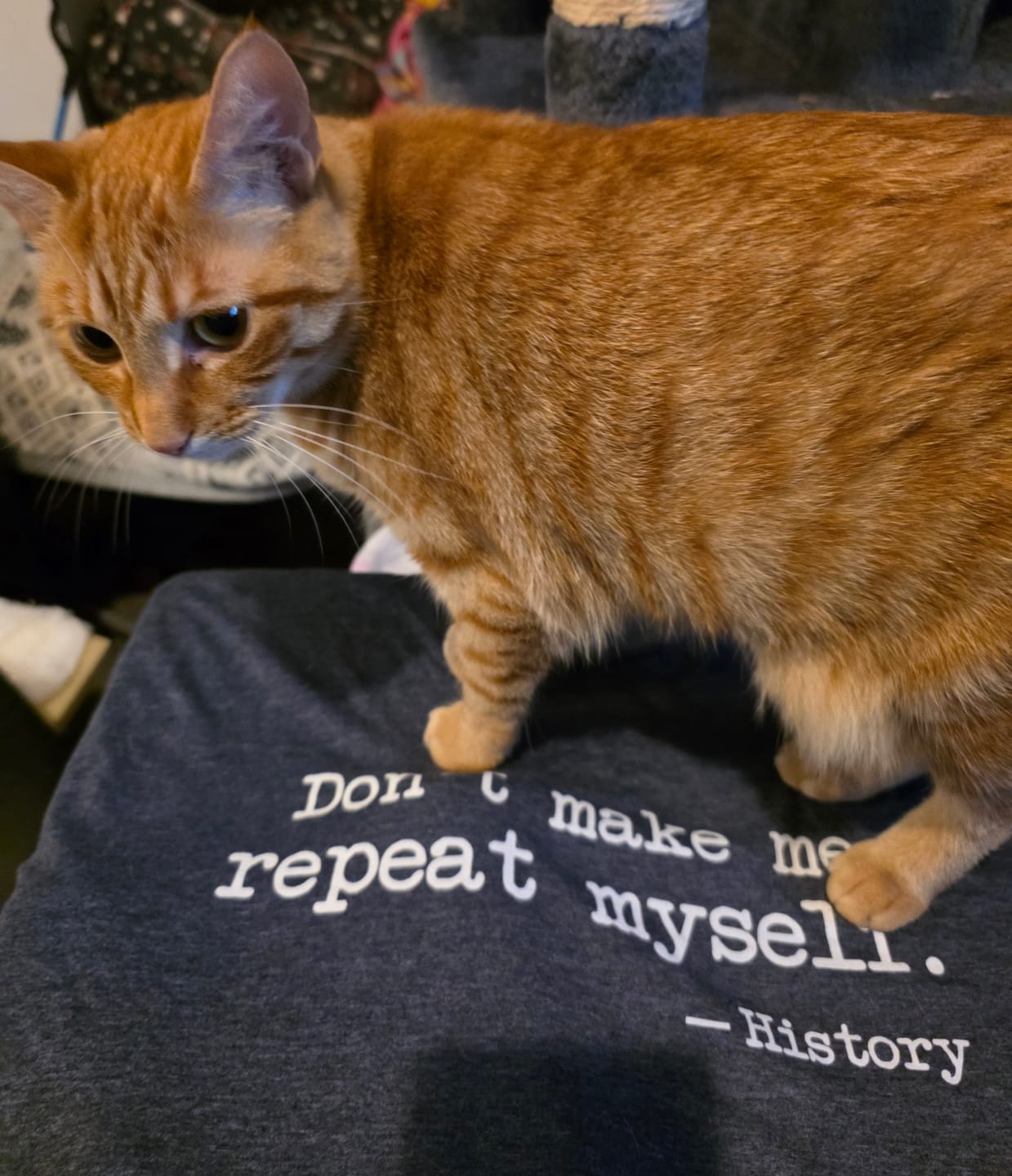 Customer photo review of Don't Make Me Repeat Myself T-Shirt
