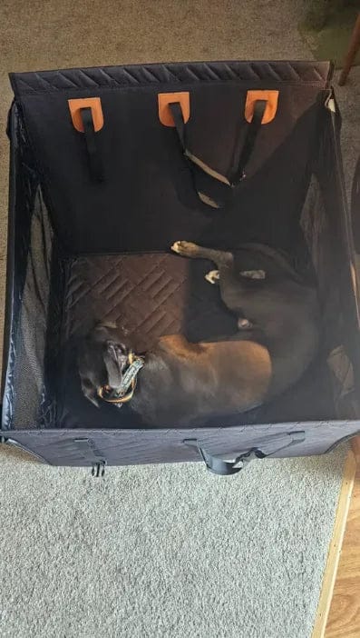 Customer photo review of Caisse de transport sécurisé voiture pour chien