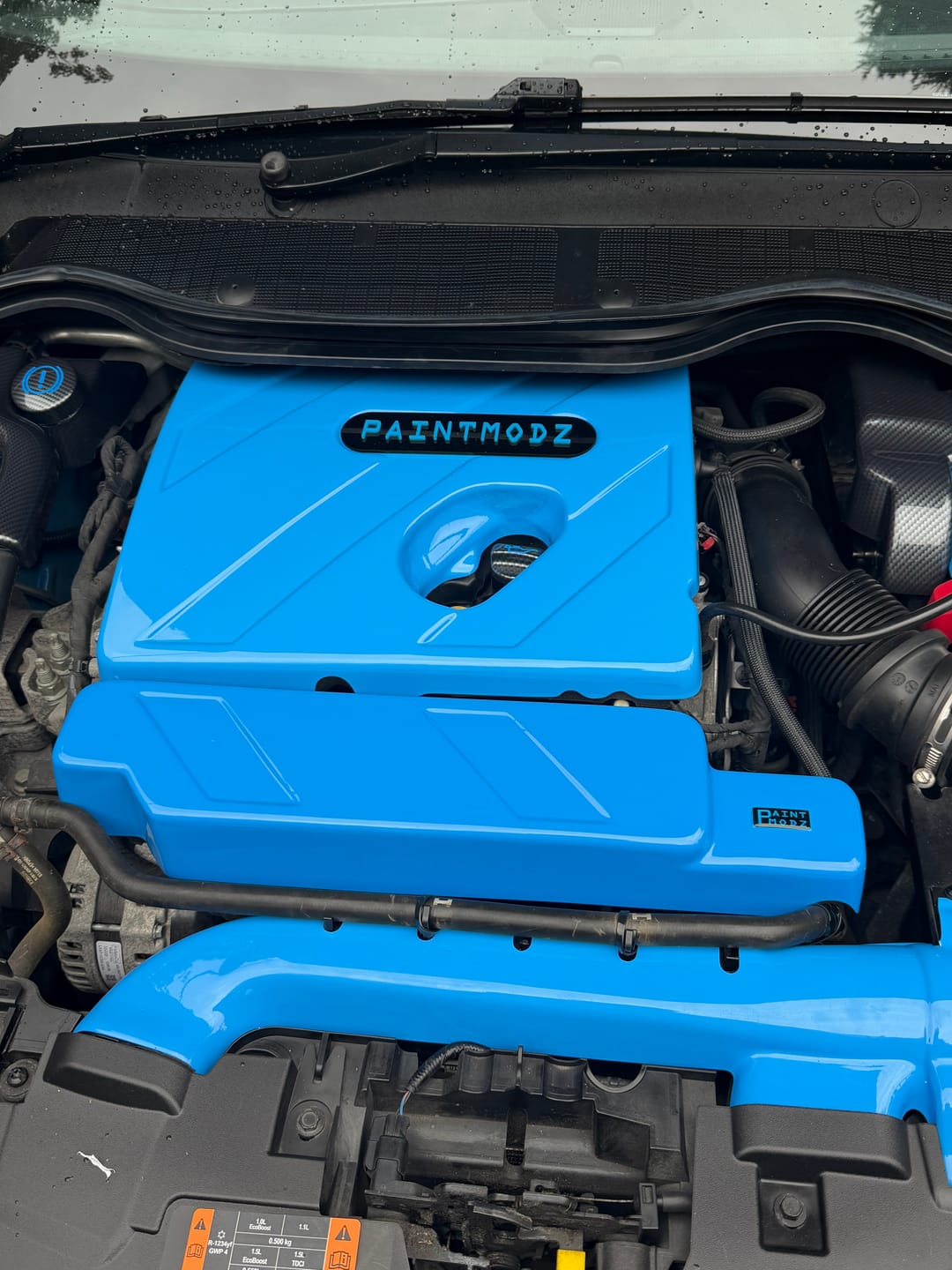 Customer photo review of Proform Small Engine Bay Dress Up Kit Bundle - Mk8/8.5 Fiesta ST & Mk2 Puma ST (Painted Finishes)