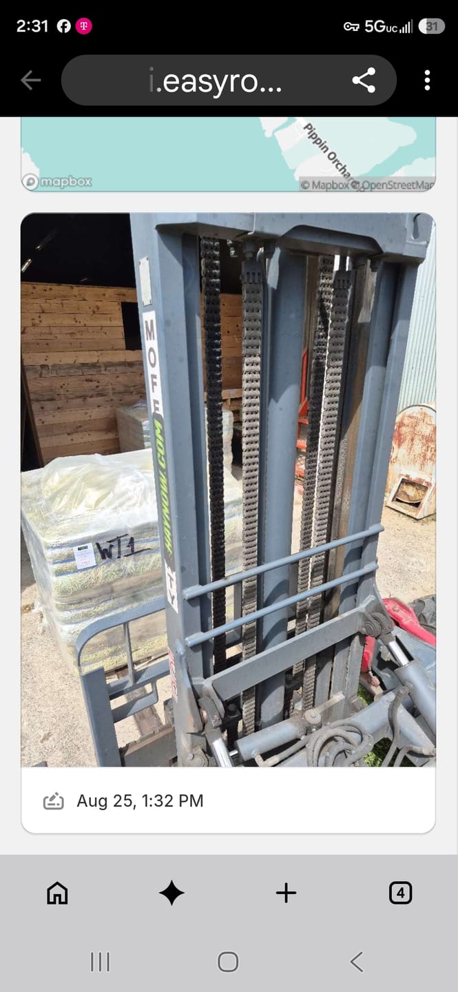 Customer photo review of Western Steamed Alfalfa (Click here for Qty Discount) - 18 Bale Bundle! Includes delivery and ground level stacking with our forklift too!