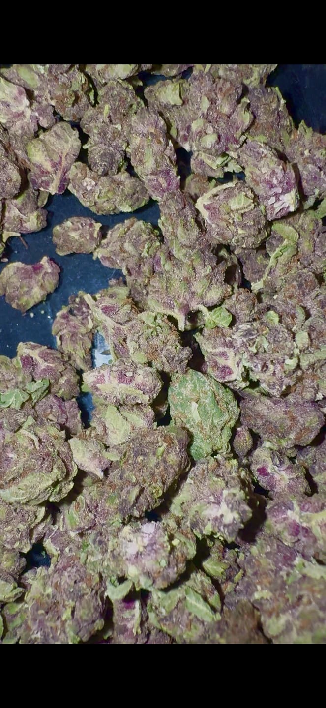 Customer photo review of Tropicana Cherry THCA Smalls