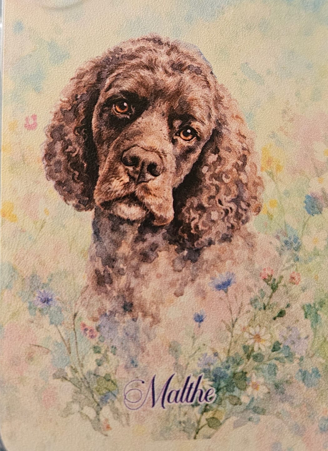 Customer photo review of Personalised Phone Case - Watercolour