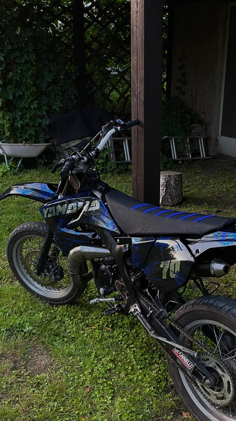 Customer photo review of Orange Blossom Graphics