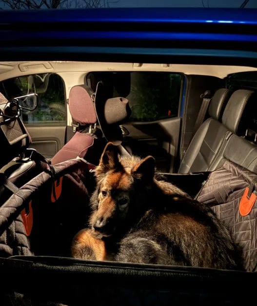 Customer photo review of Caisse de transport sécurisé voiture pour chien