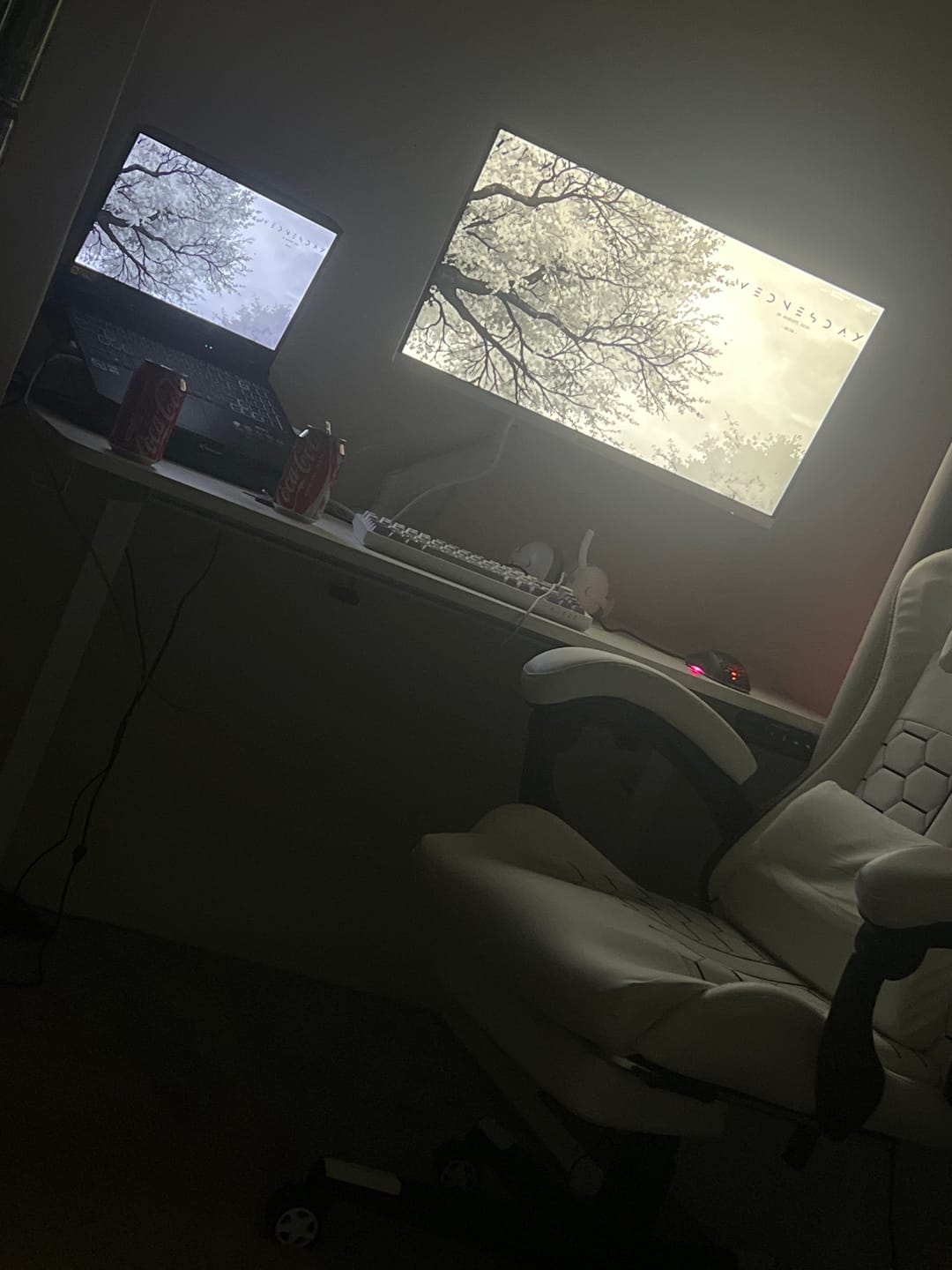 Customer photo review of Sit/Stand Height Adjustable Desk