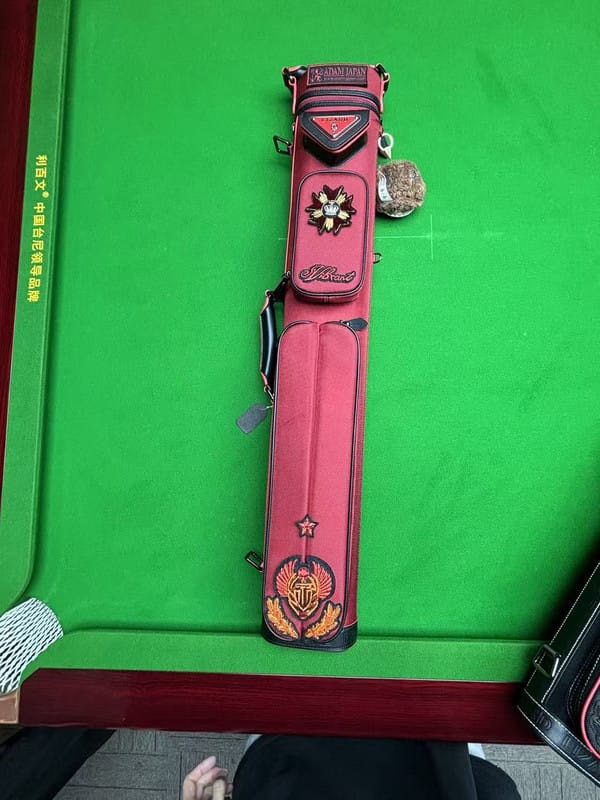 Customer photo review of Lizard Scarab Series Cue Case 3B4S