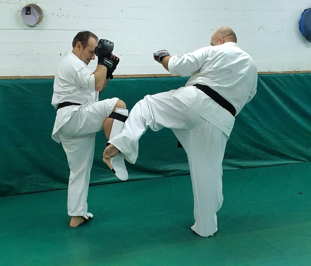 Customer photo review of Kickboxing Shin Guards