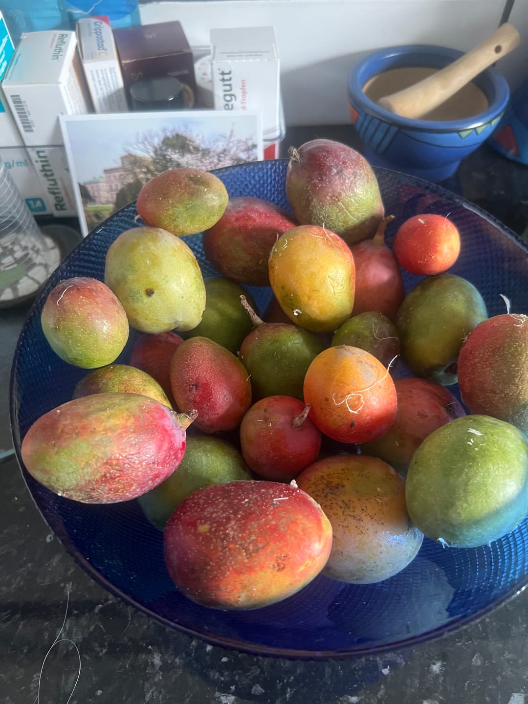 Customer photo review of Baby-Mango Mix "Wild Wonders" von Julian