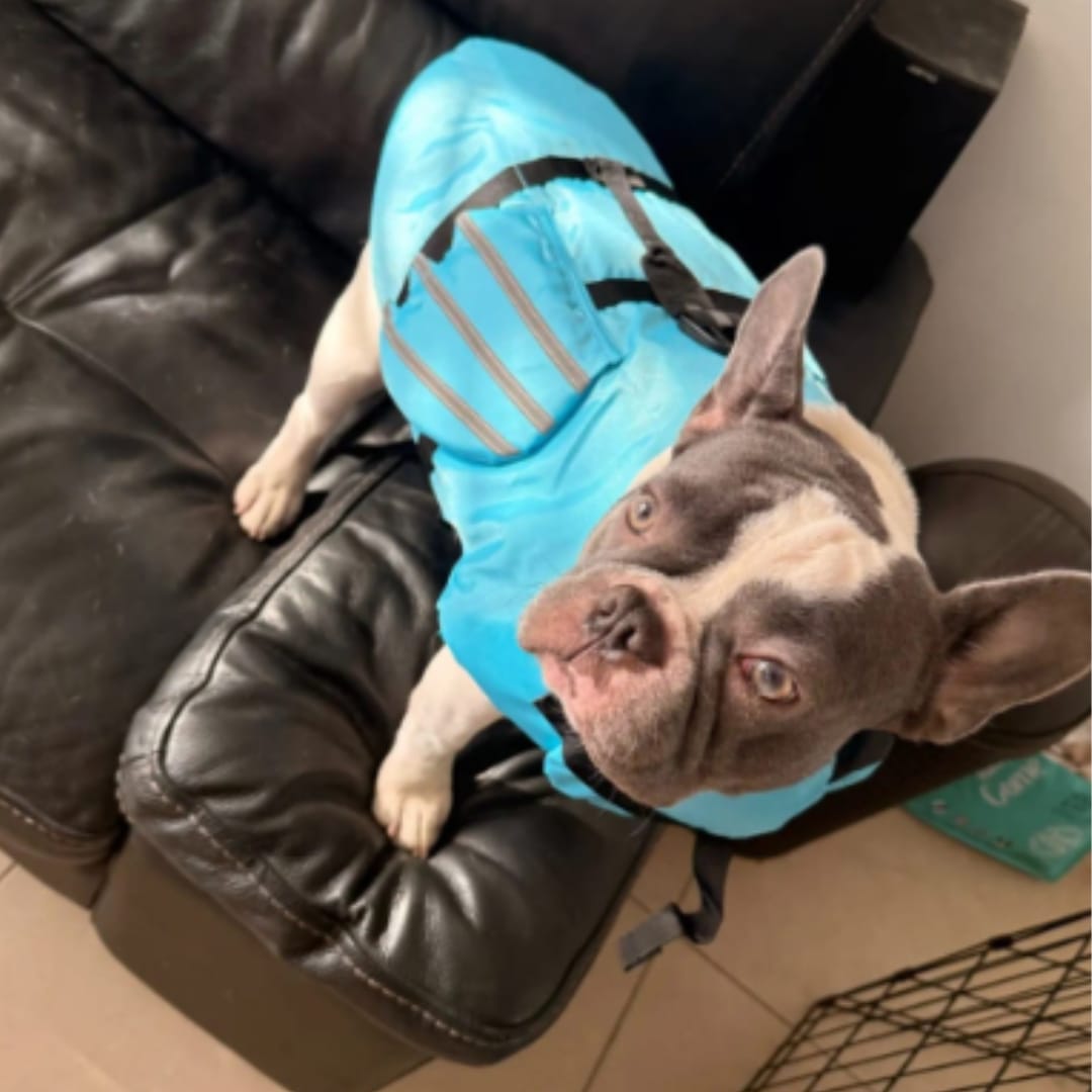Customer photo review of Flotador Canino