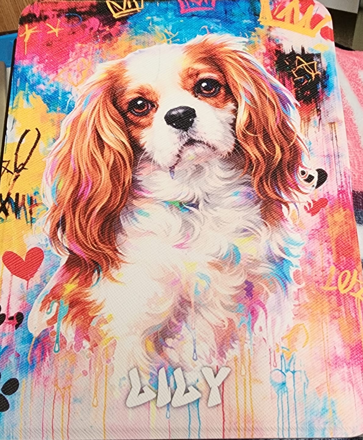 Customer photo review of Graffiti - Personalized Kindle Case
