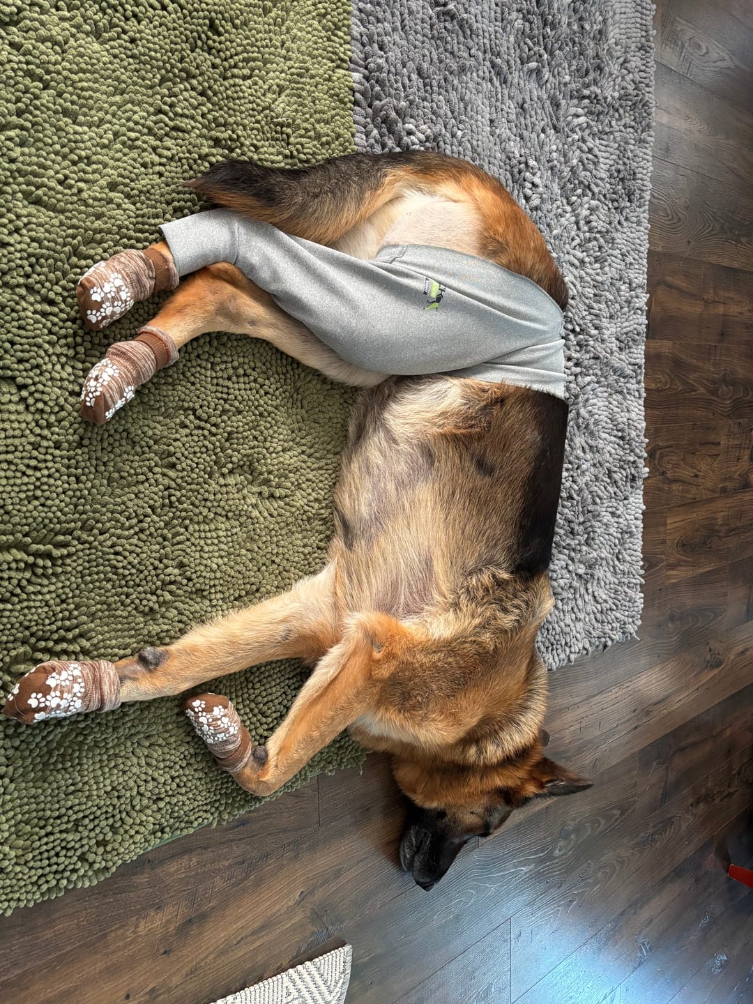 Customer photo review of Lick Sleeve® Leg Sleeve