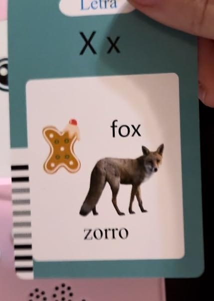 Customer photo review of Talking Flash Cards Table