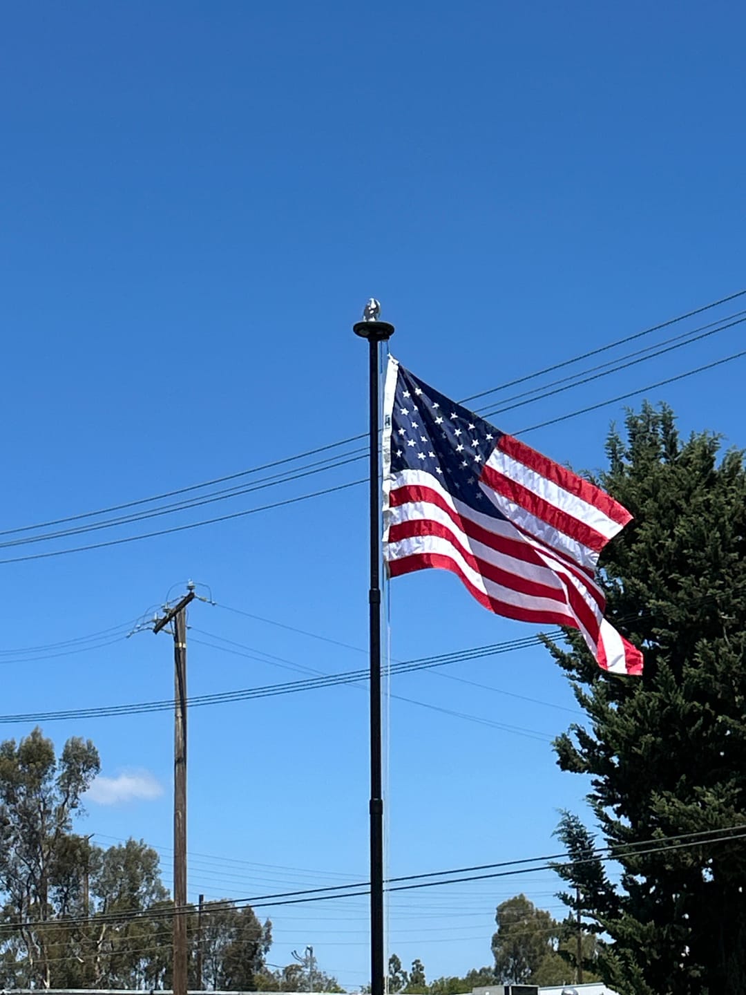 Customer photo review of 4' x 6' American Flag