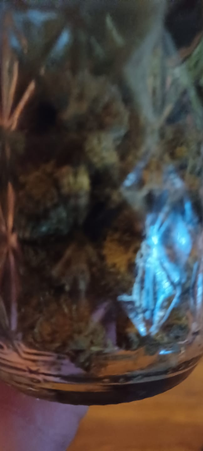 Customer photo review of Bulk THCA Flower Pounds