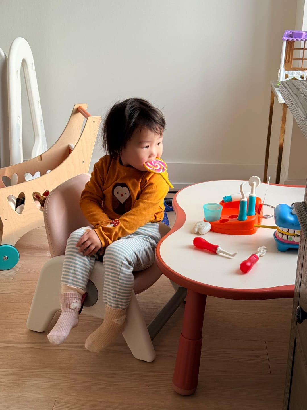 Customer photo review of Brown Owl Applique Long Sleeve T-Shirt