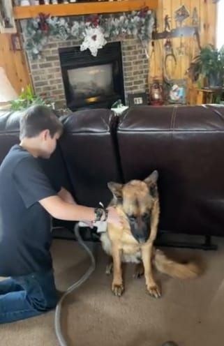 Customer photo review of Pawsky™ 2-in-1: Brushes & Vacuums