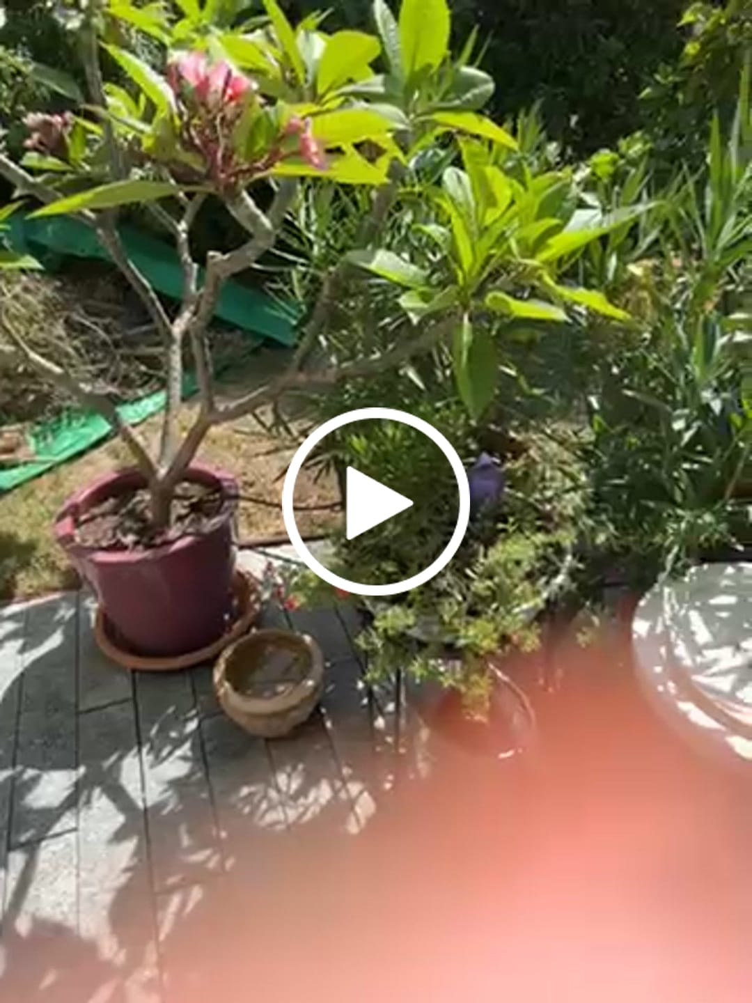 Customer video review of Boum Pro Wassertank 35 L