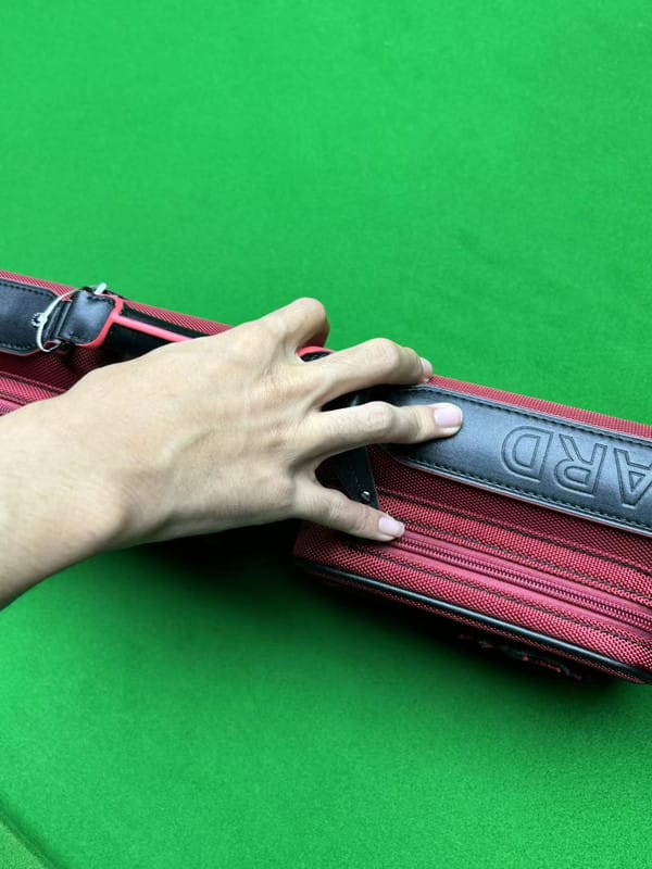Customer photo review of Lizard Scarab Series Cue Case 3B4S