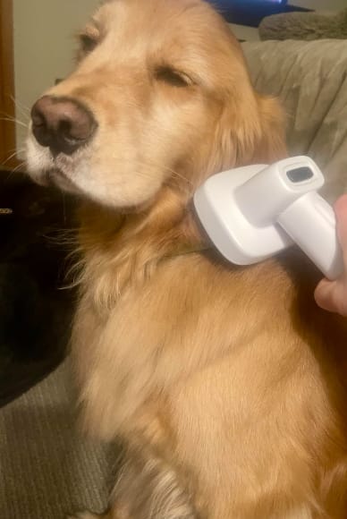 Customer photo review of Pawsky™ 2-in-1: Brushes & Vacuums