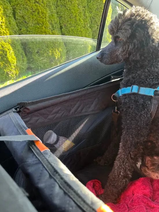 Customer photo review of Caisse de transport sécurisé voiture pour chien
