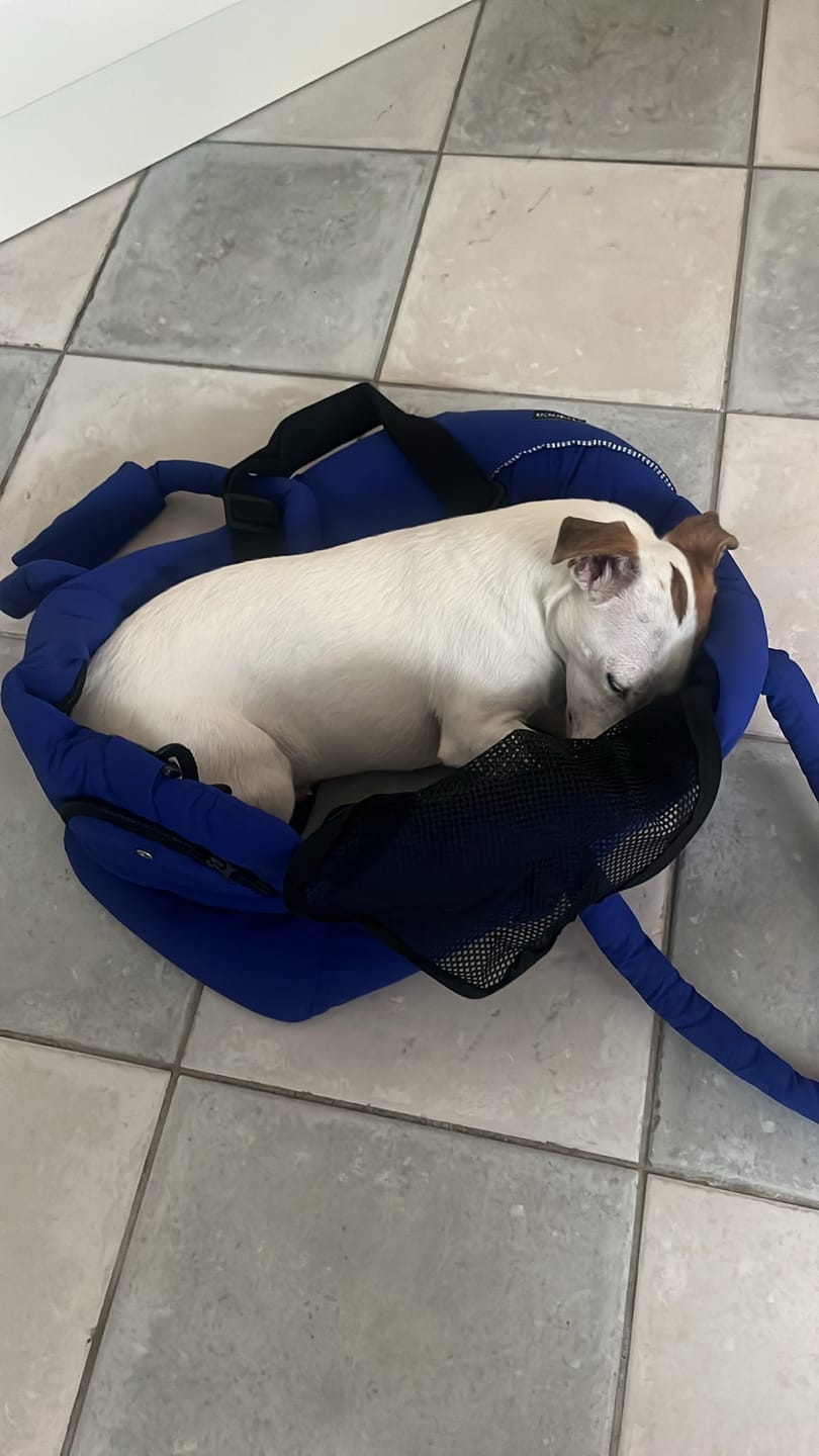 Customer photo review of Sac de voyage - Jaune