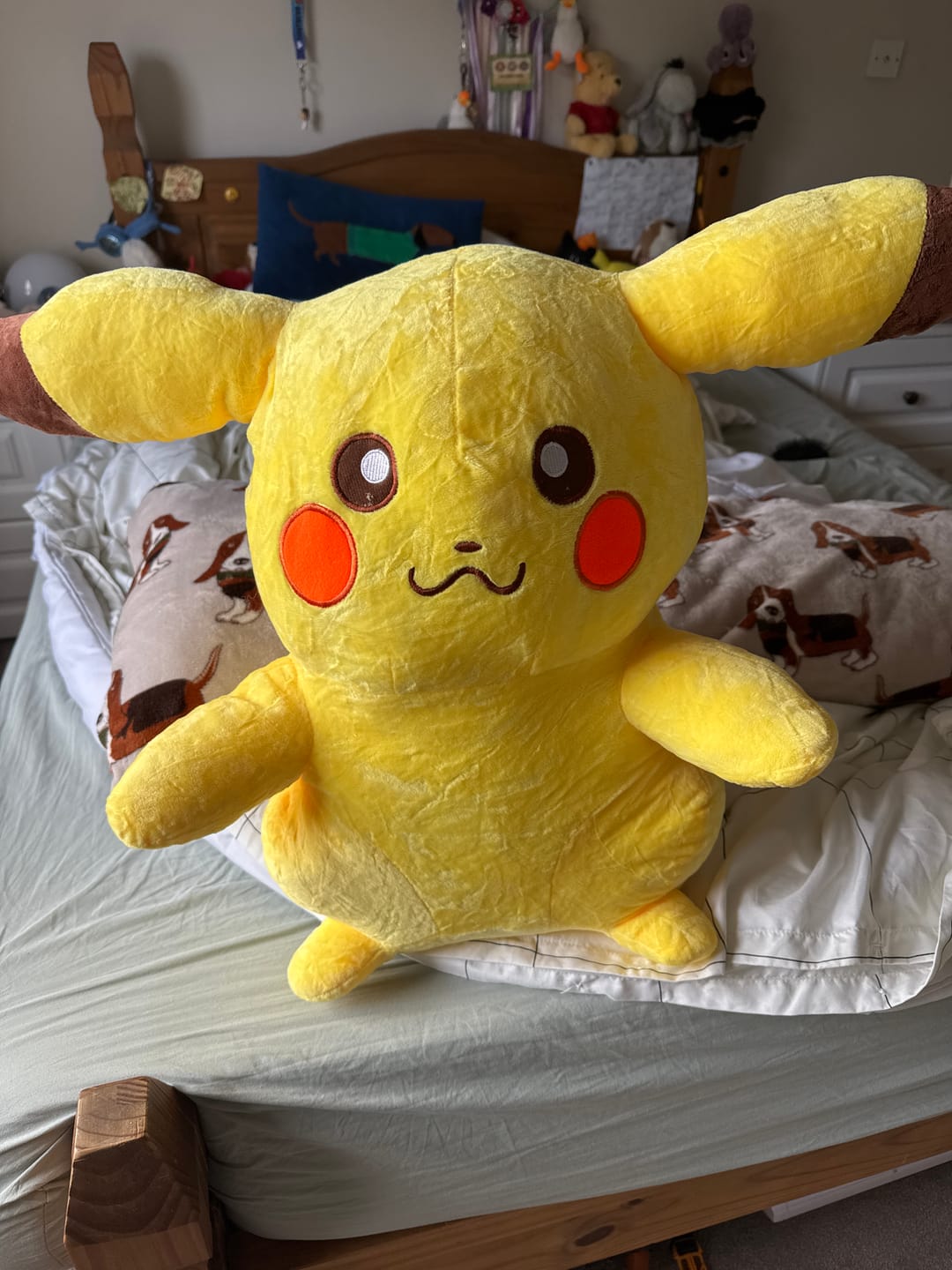 Customer photo review of Giant Pikachu Pokemon Plush