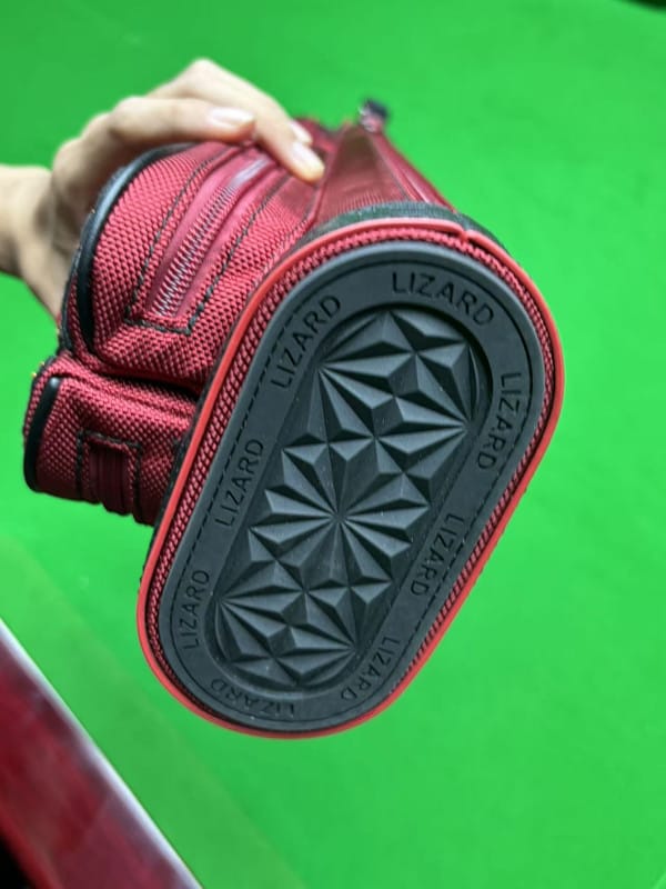 Customer photo review of Lizard Scarab Series Cue Case 3B4S