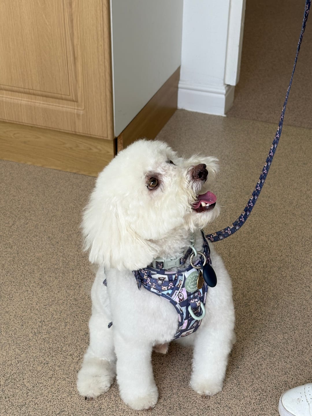 Customer photo review of Disney© Bow Tie - Winnie + Friends