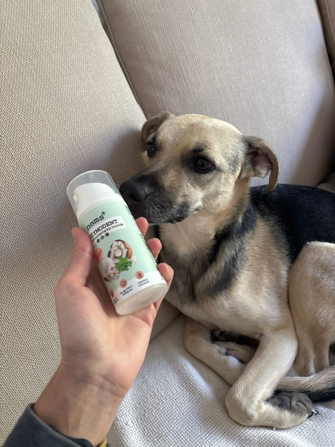 Customer photo review of Enzymodent: Enzymatische Zahnpasta für Hunde mit natürlicher Pflege- und Präventionsformel