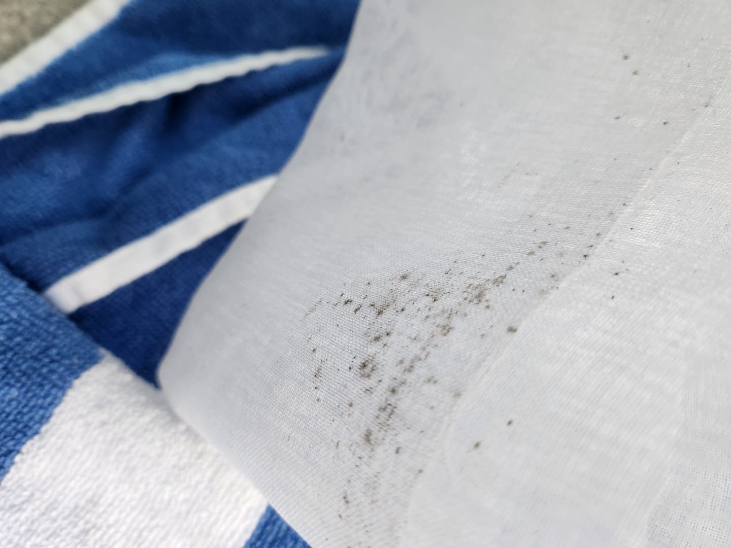 Customer photo review of Curtain Wizard Instant Mould & Mildew Remover