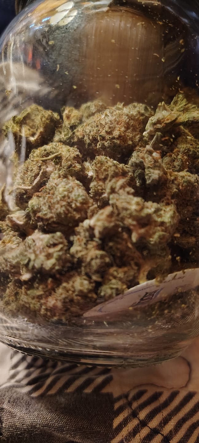 Customer photo review of Blackout Berries THCA Flower Ounce (28g)