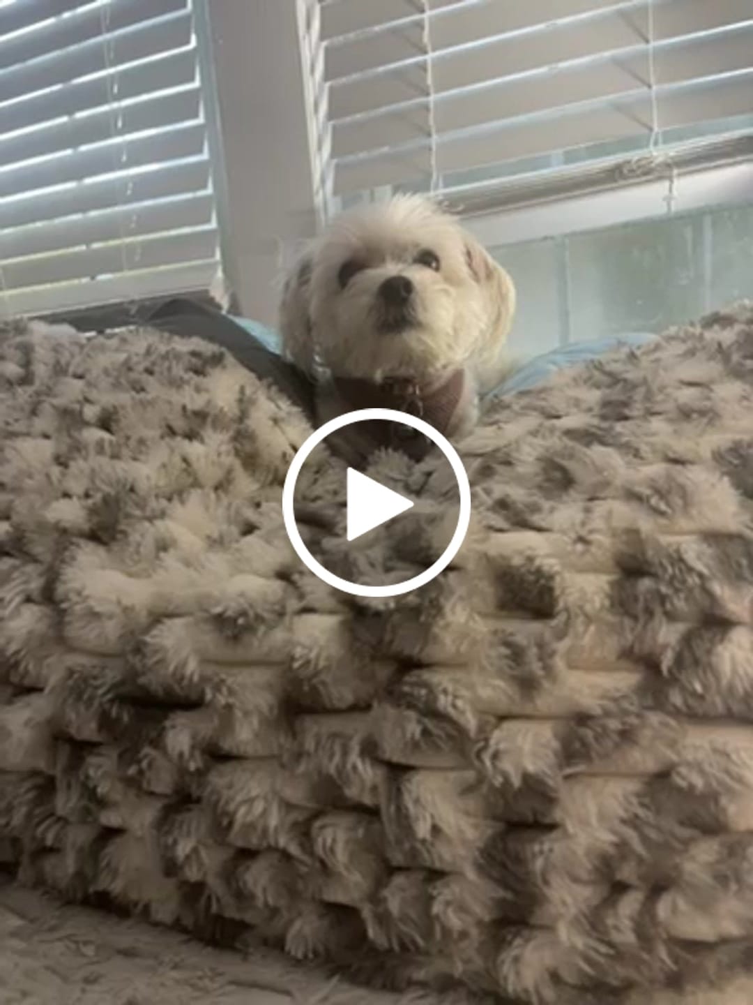 Customer video review of Puff Pillow