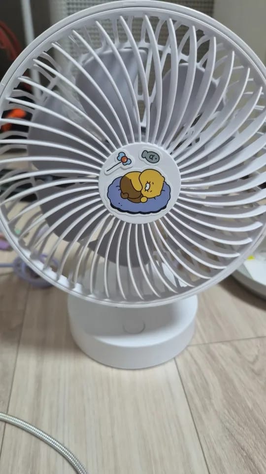 Customer photo review of USB Desktop Fan with Four Speeds and 5V Power for Table Use
