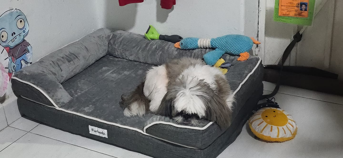 Customer photo review of Cama Ortopédica para Perros