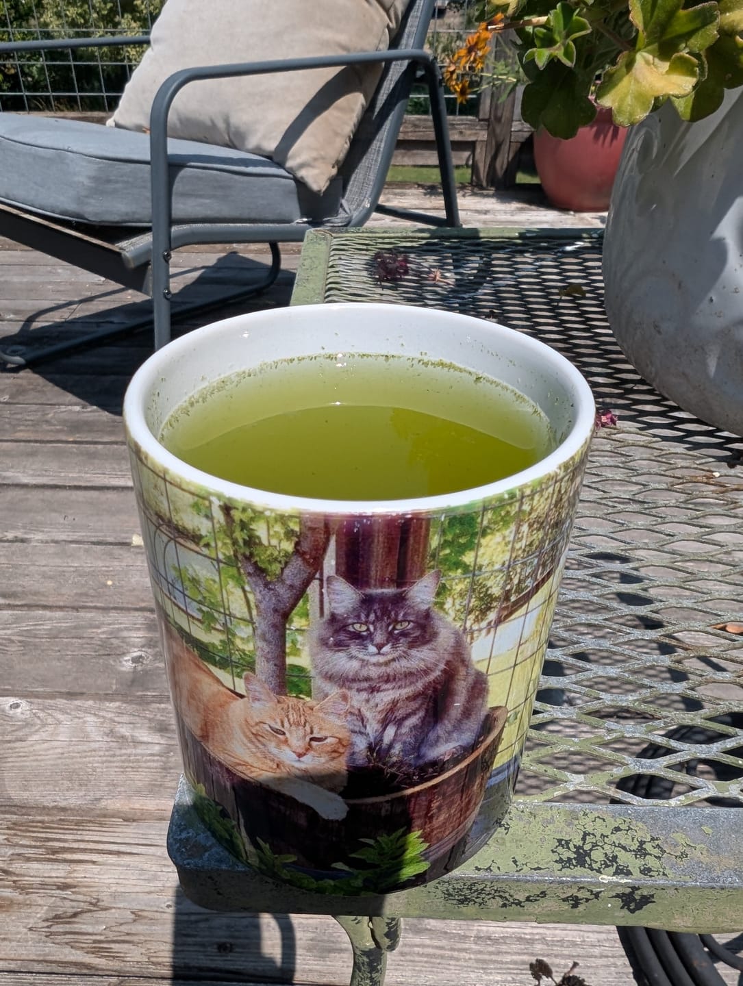 Customer photo review of Henta Sencha Asanoka