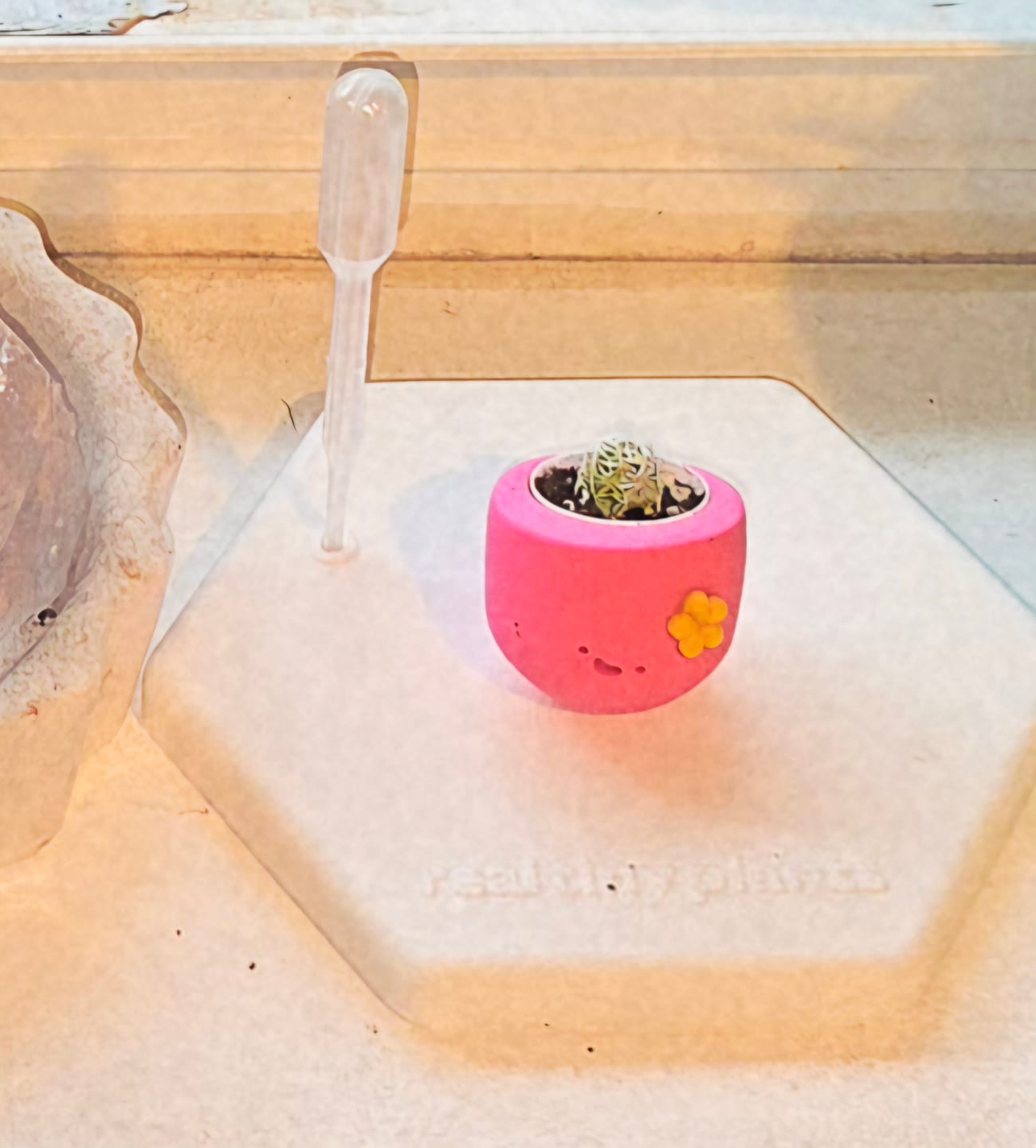 Customer photo review of Flower Power