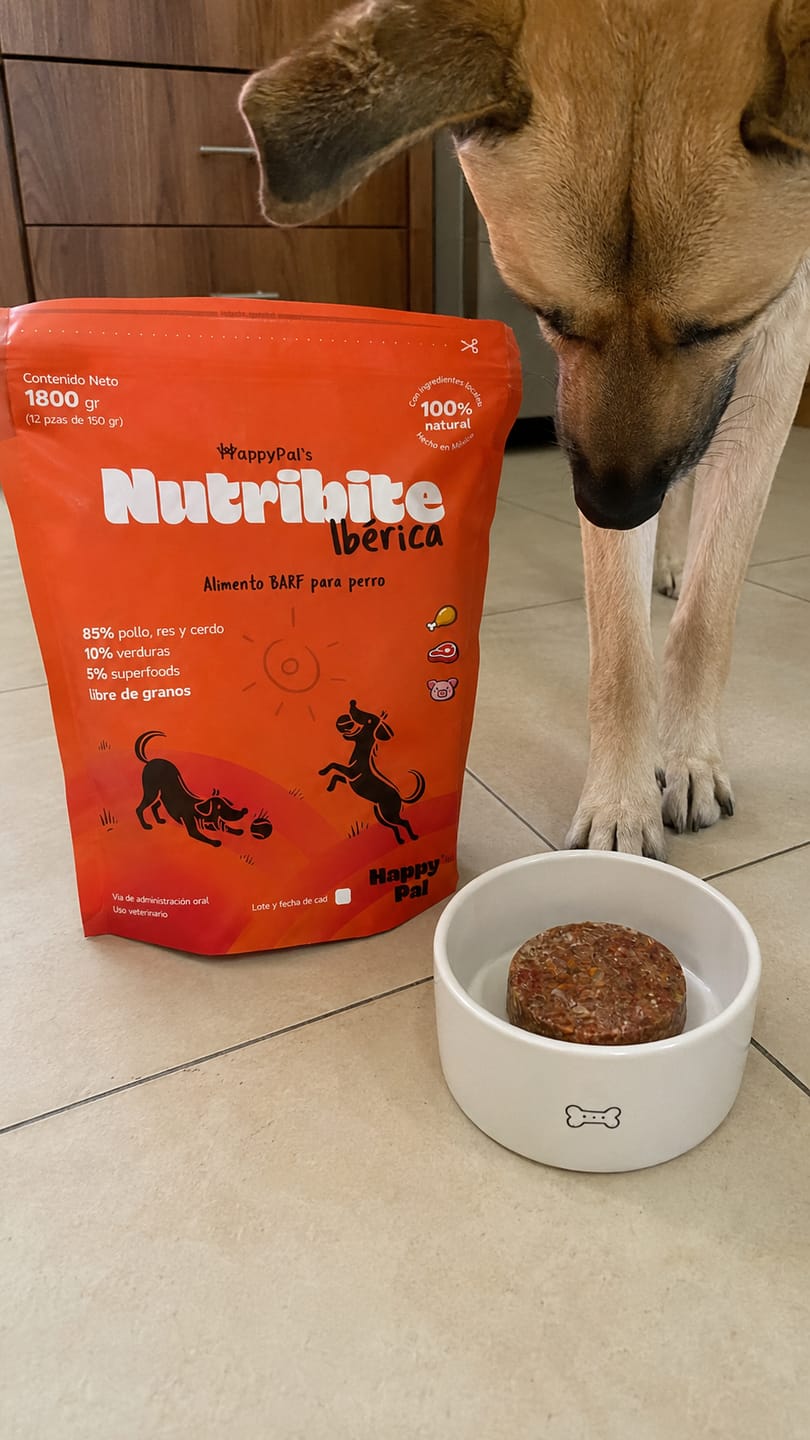 Customer photo review of Nutribite I Dieta BARF para perros. Natural y congelada. Lista para servir.