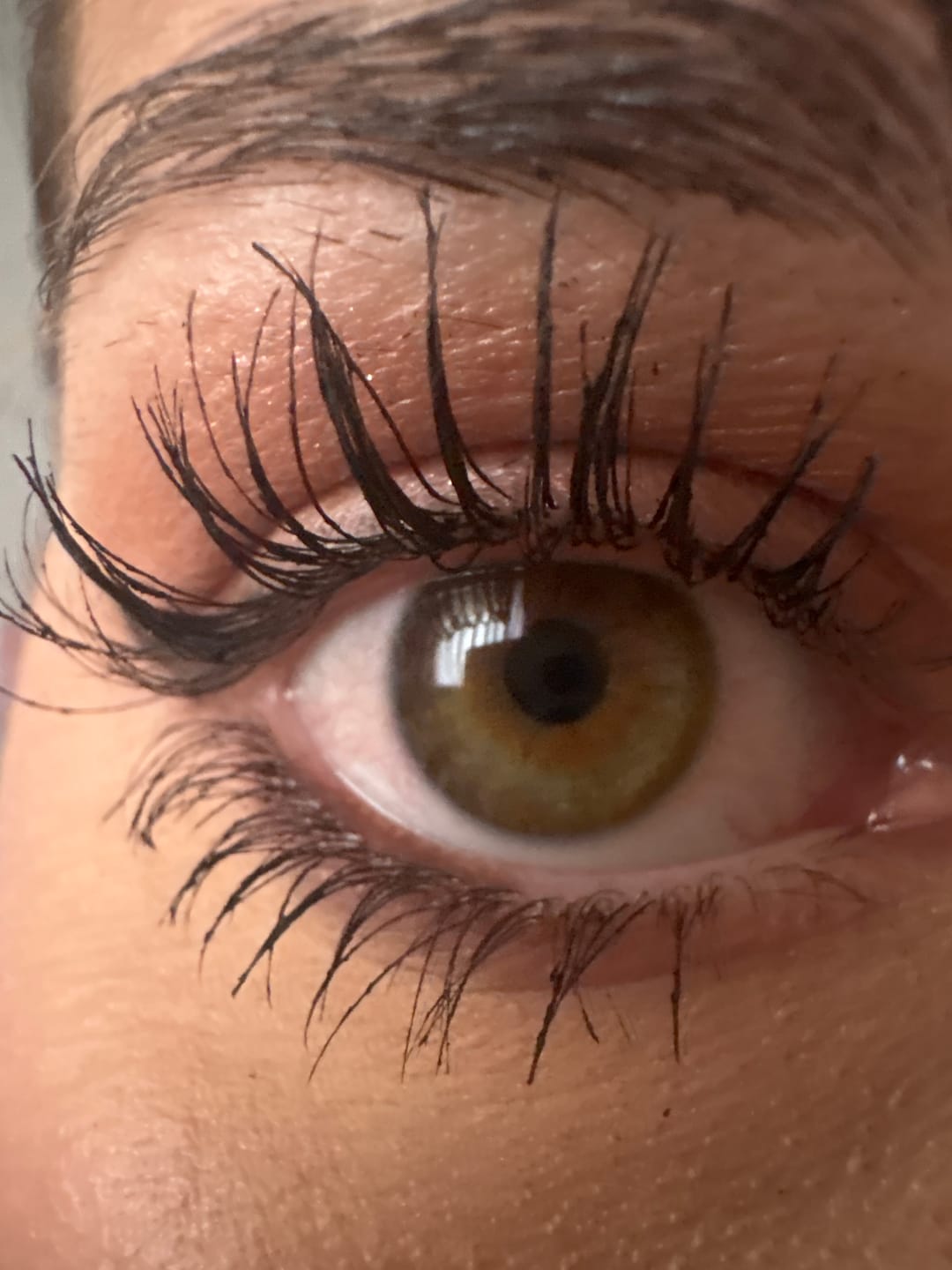 Customer photo review of LASHCOCA!NE - Wimpernserum