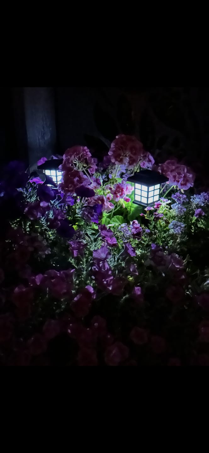 Customer photo review of Classic Solar Garden Light