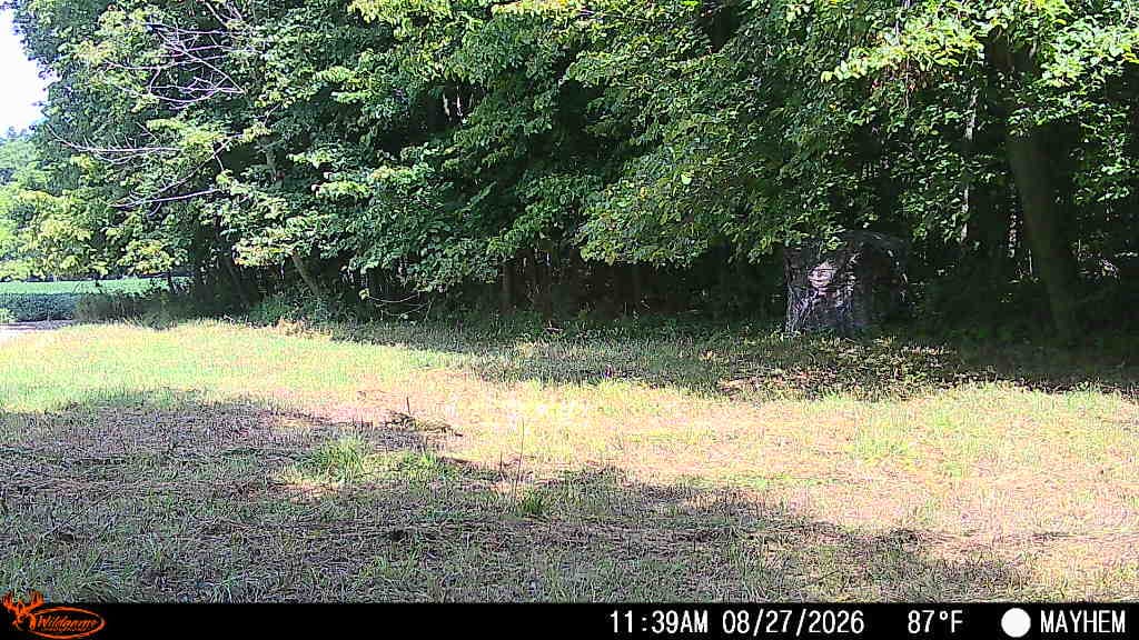 Customer photo review of Vis Series 270 Degree See Through Hunting Blind | Portable 2 3 4 Person Ground Blind | Camo Pop Up Deer Blind for Deer & Hunters