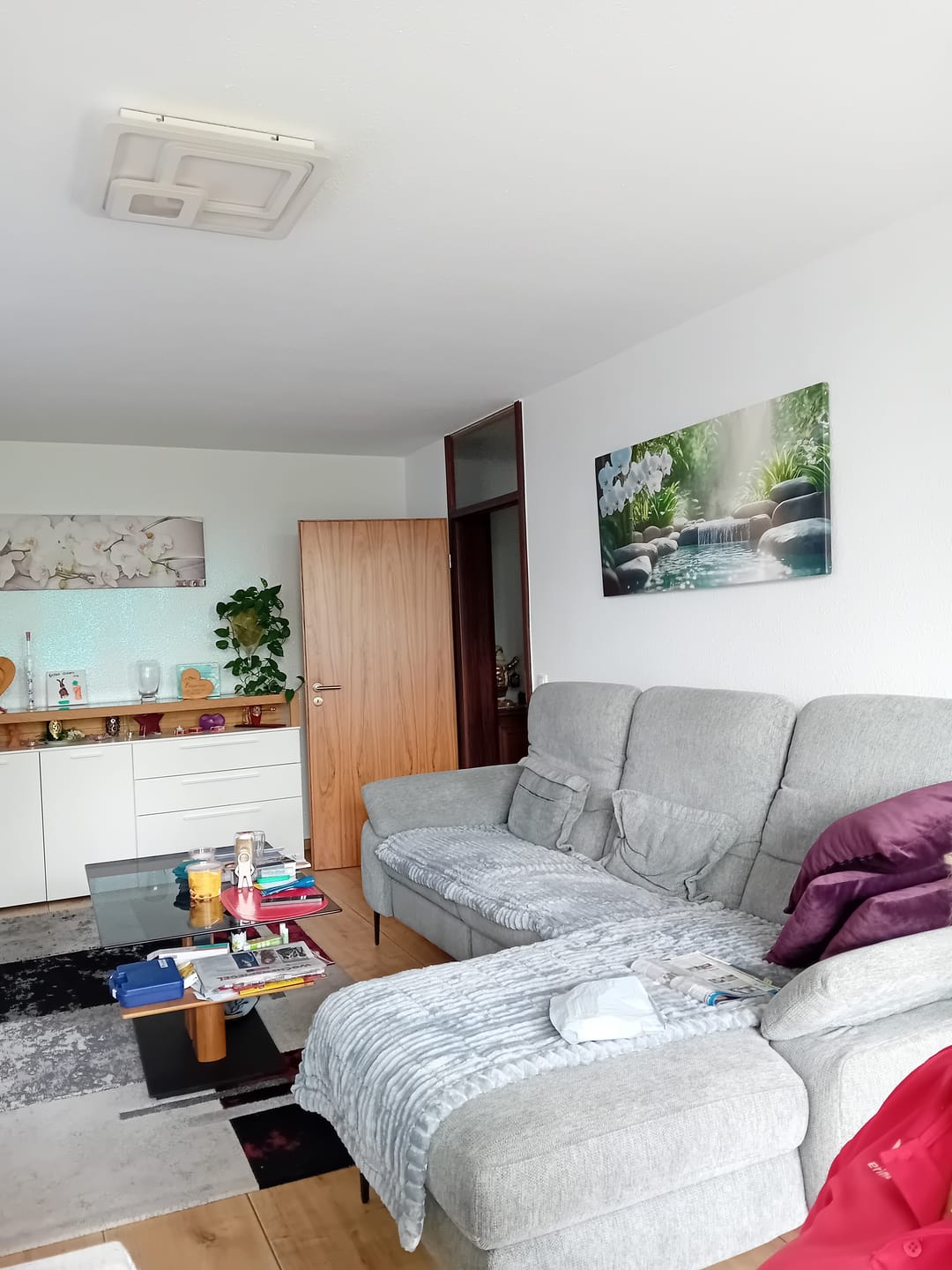 Customer photo review of PetLounge I Premium Sofa-Schutz
