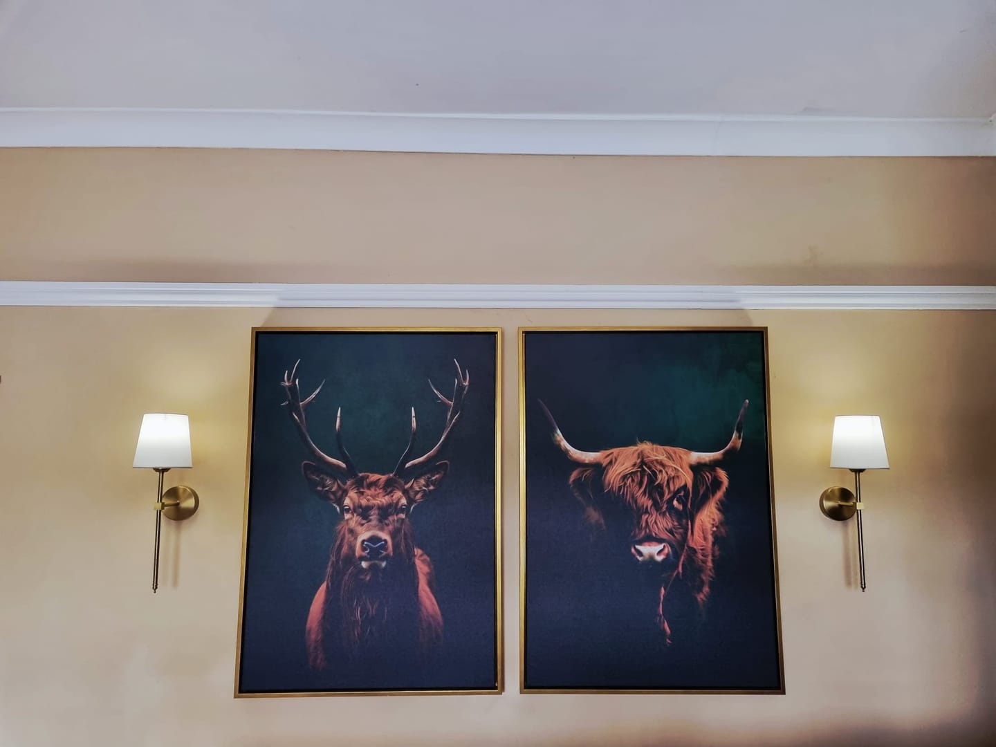 Customer photo review of Highlands Set of 2 Prints