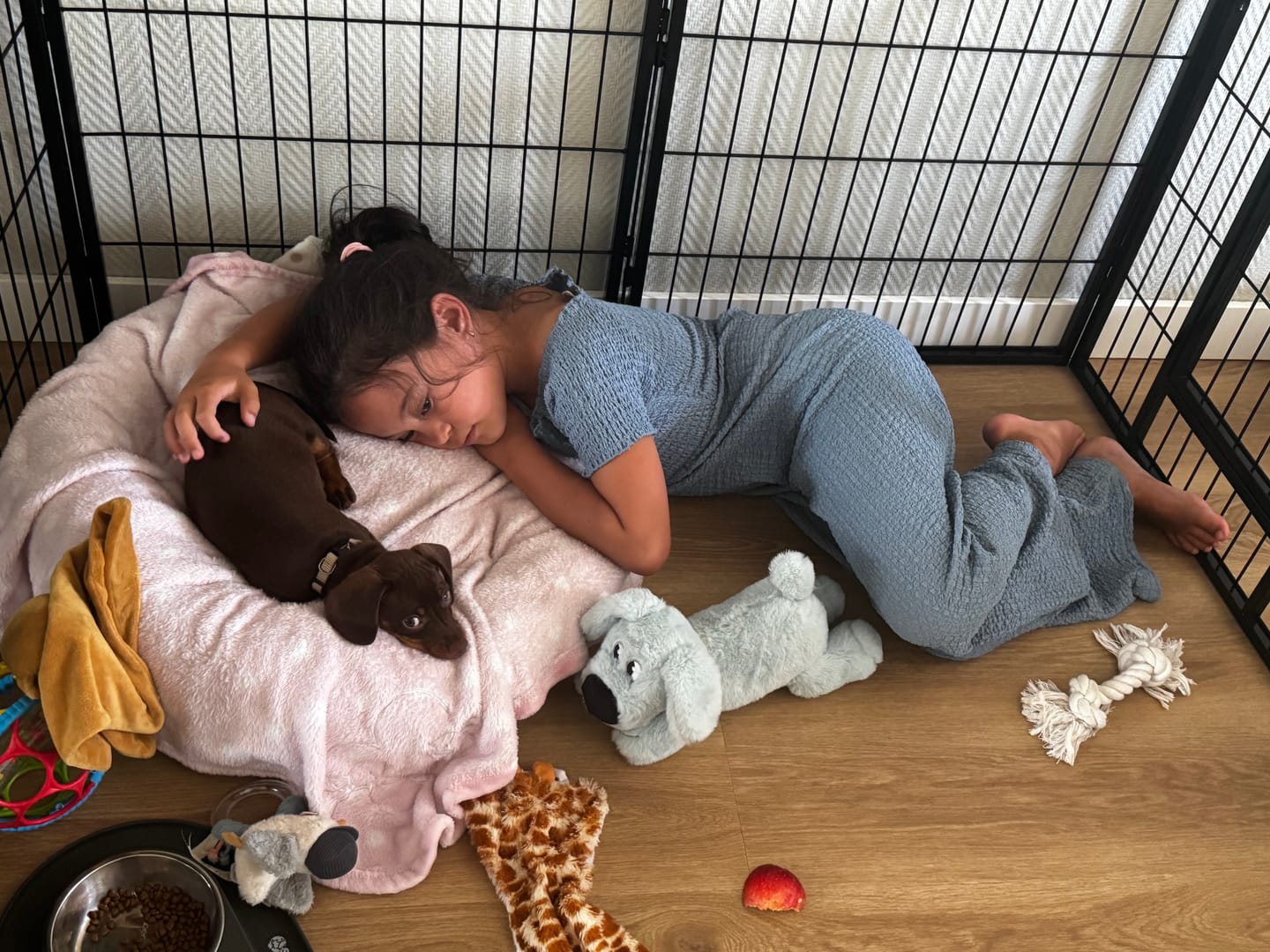 Customer photo review of Pet Perfect Orthopedische Donutmand