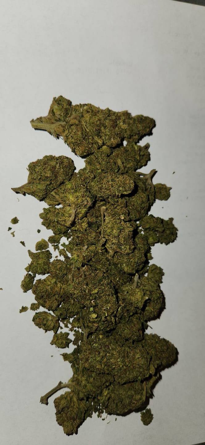 Customer photo review of Biscotti Cake - 28 Grams - Hybrid